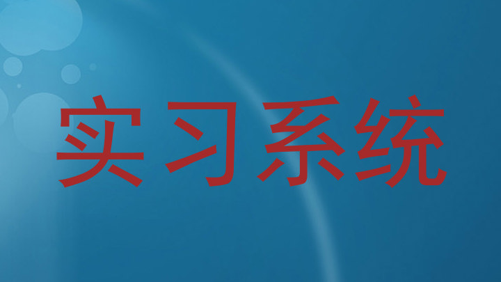 实习系统