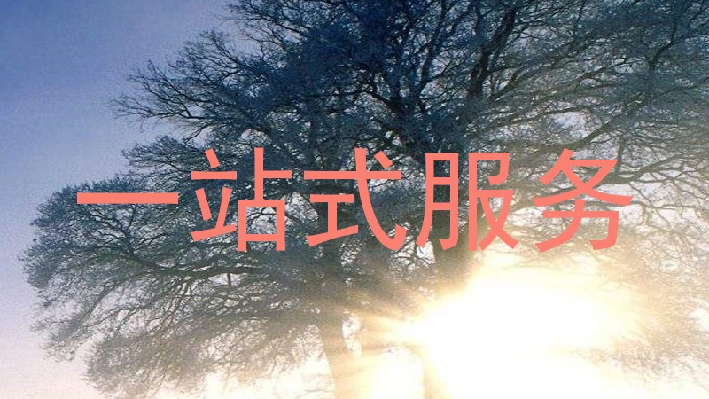 一站式服务
