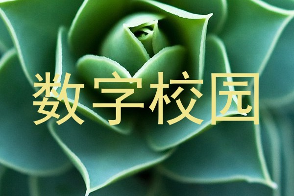 数字校园