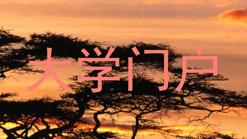 大学门户