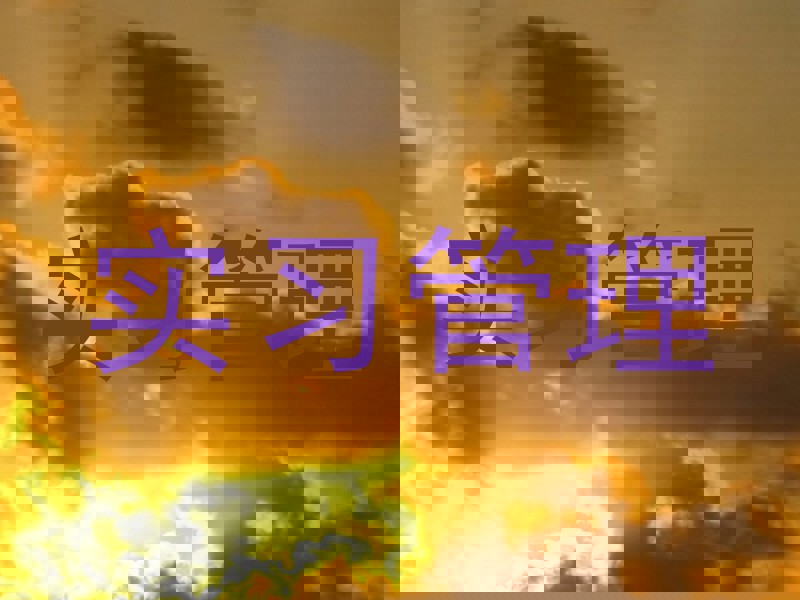 实习管理