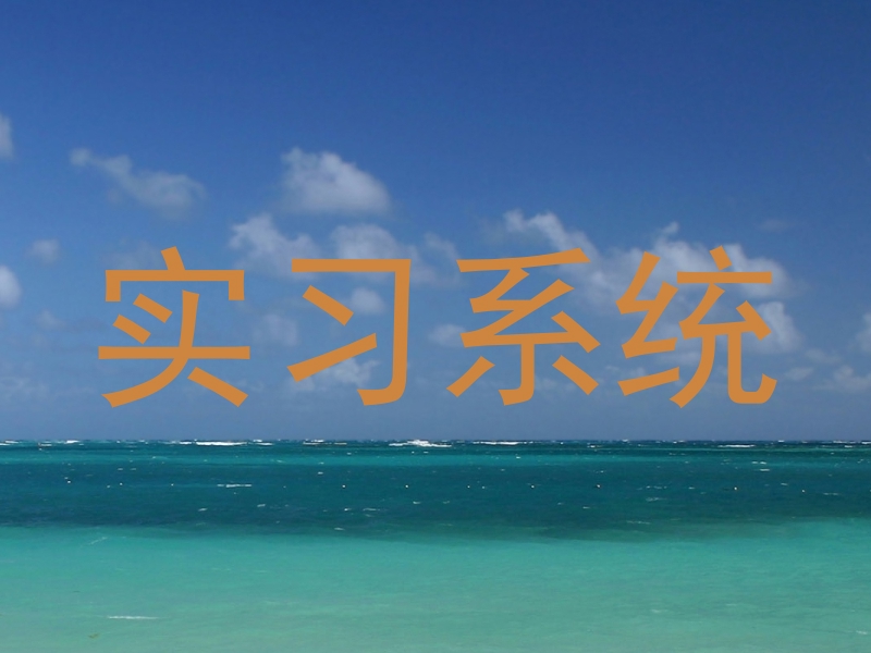 实习系统