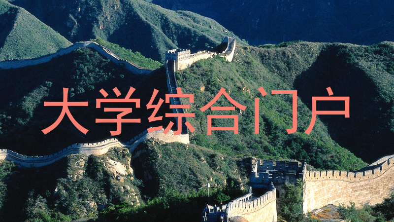 大学综合门户