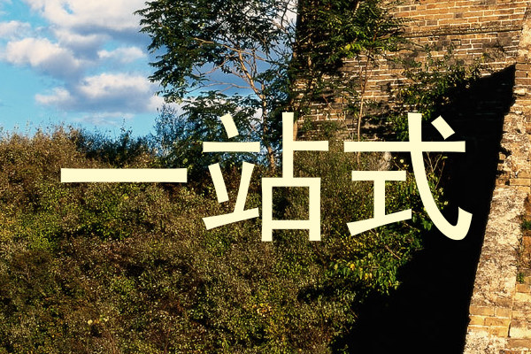一站式