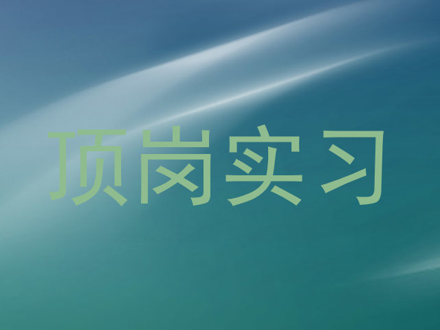 顶岗实习
