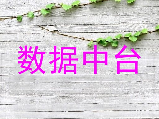 数据中台