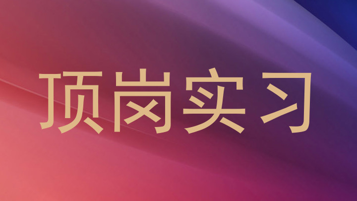 顶岗实习
