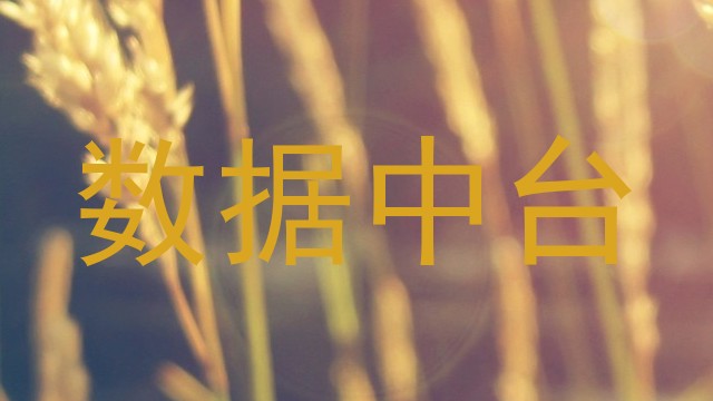 数据中台