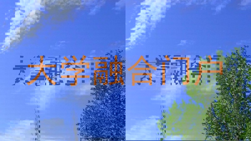 大学融合门户