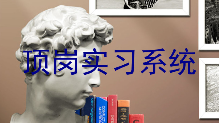 顶岗实习系统