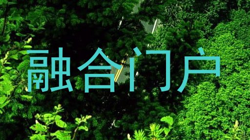 融合门户