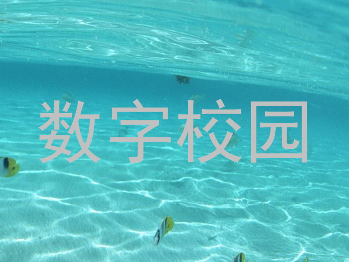 数字校园