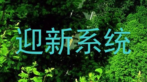迎新系统