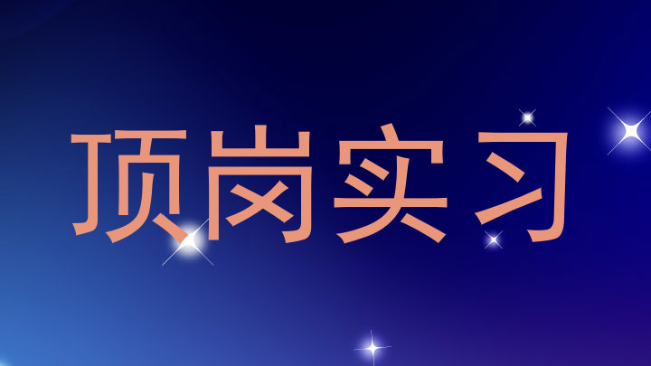 顶岗实习