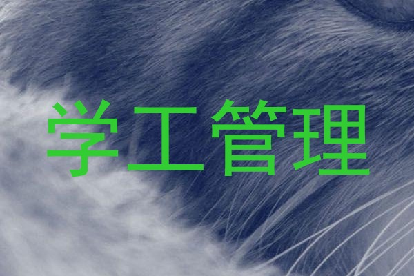 学工管理
