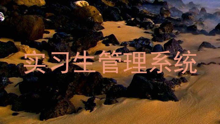 实习生管理系统