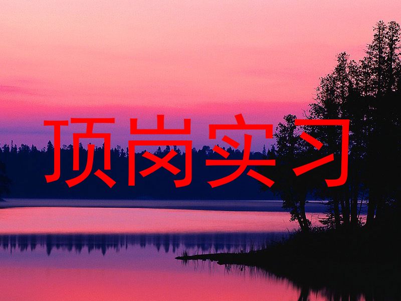 顶岗实习