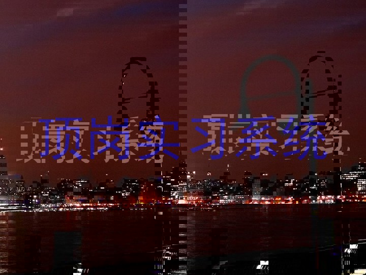 顶岗实习系统