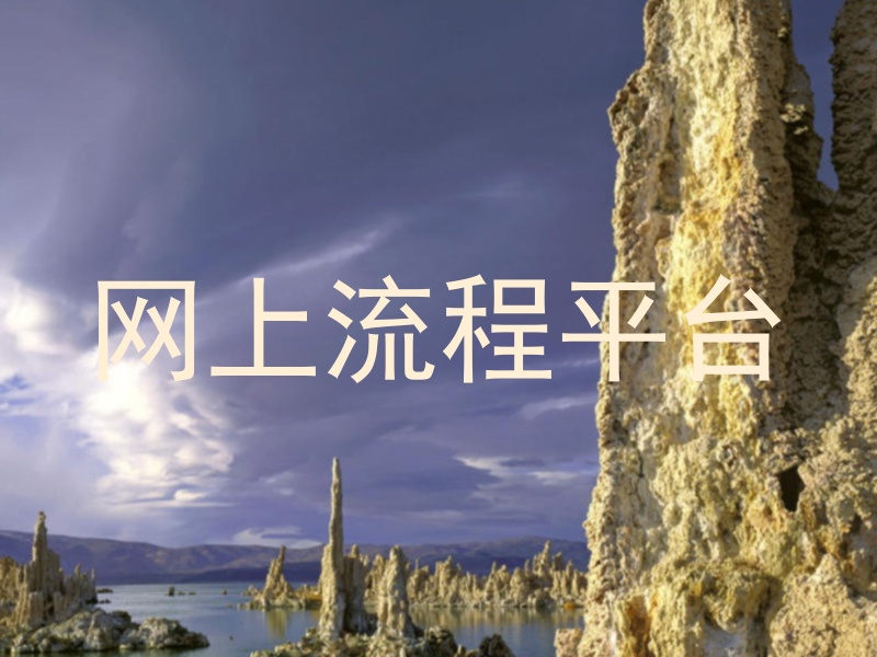 网上流程平台