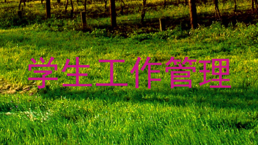 学生工作管理