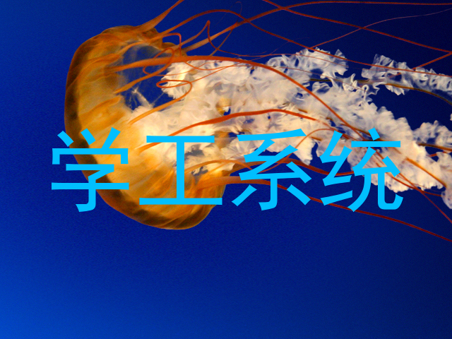 学工系统