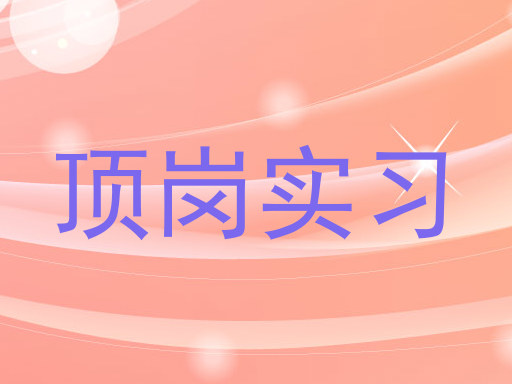 顶岗实习