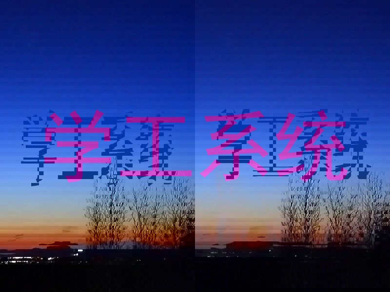 学工系统