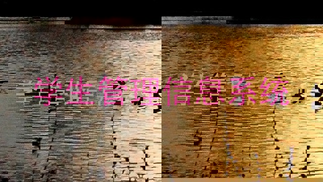 学生管理信息系统