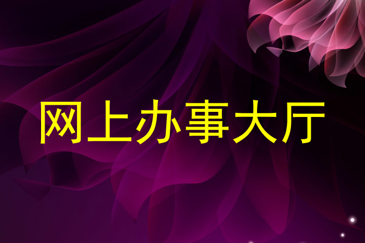 网上办事大厅
