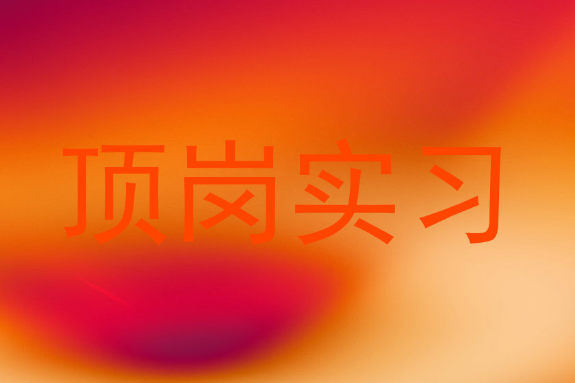 顶岗实习
