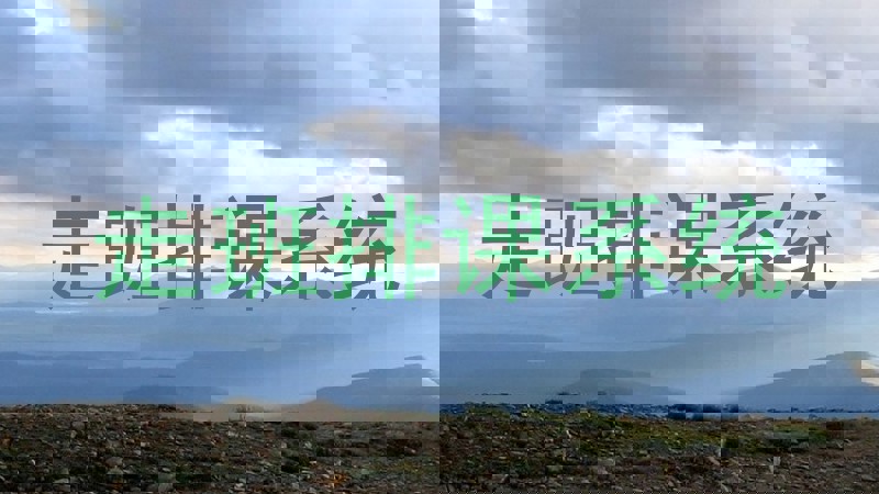 走班排课系统