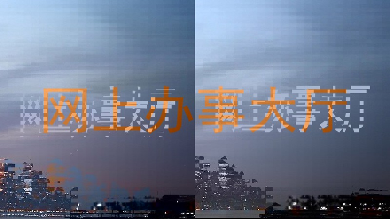 网上办事大厅