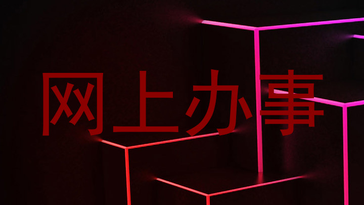 网上办事