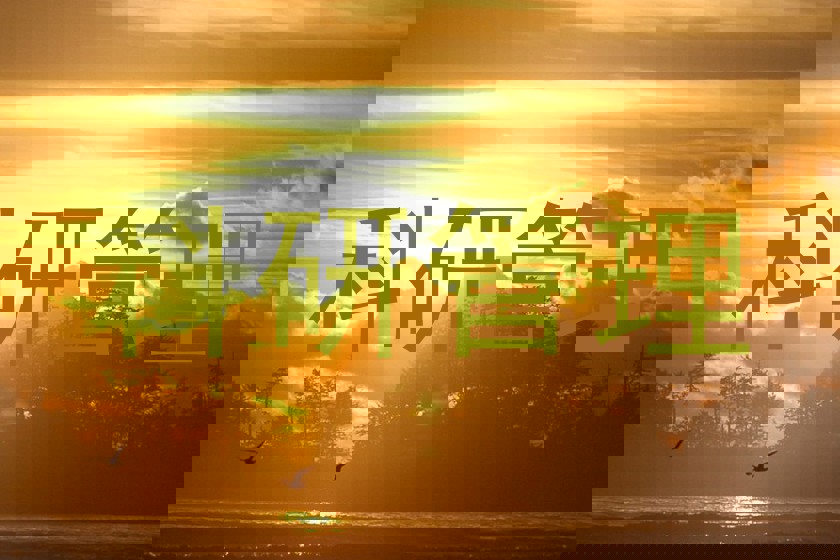 科研管理