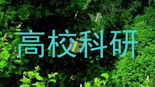 高校科研