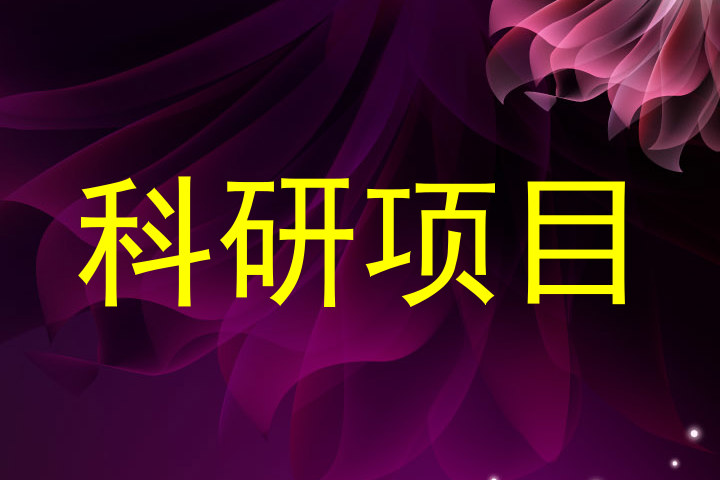 科研项目