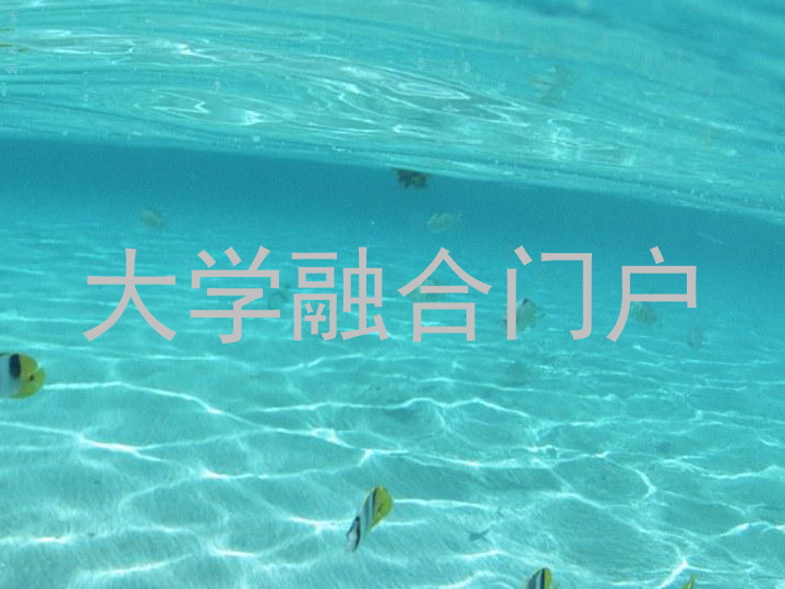 大学融合门户