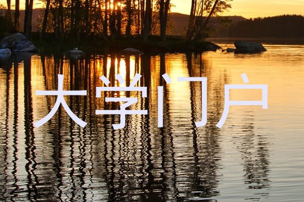 大学门户
