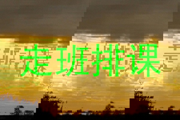 走班排课