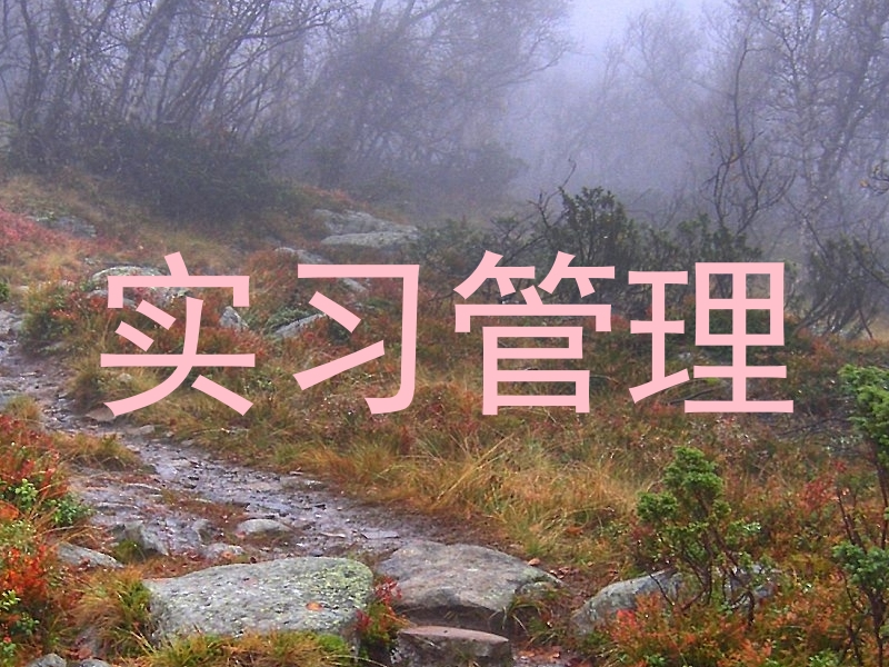 实习管理