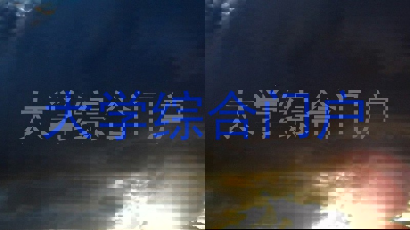 大学综合门户