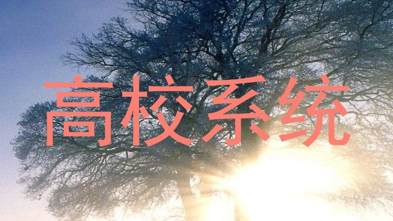 高校系统