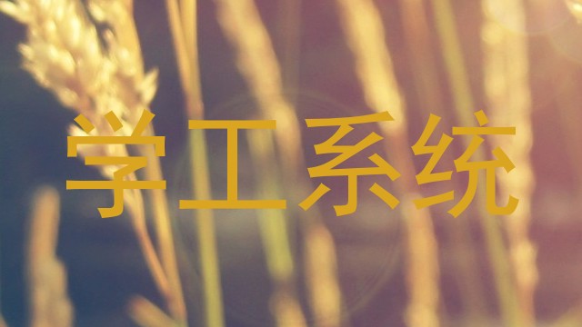学工系统