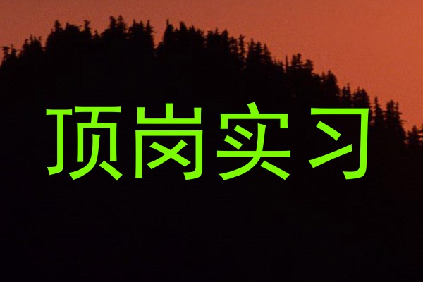 顶岗实习