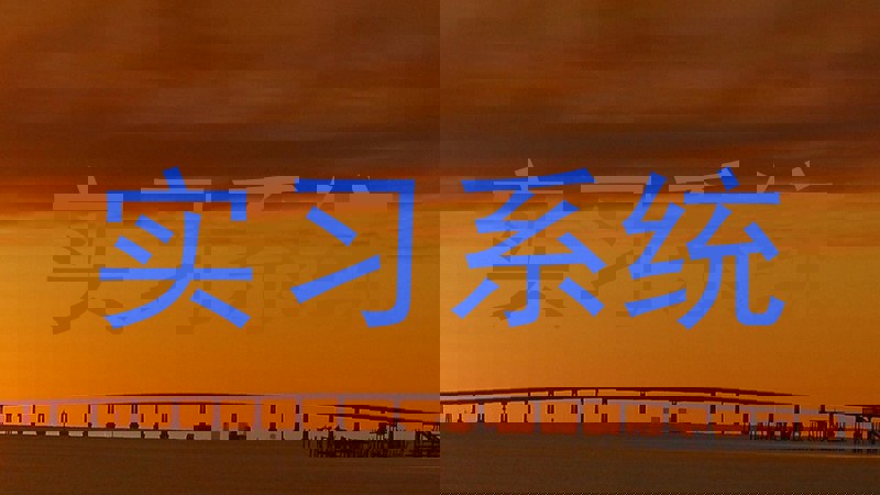 实习系统