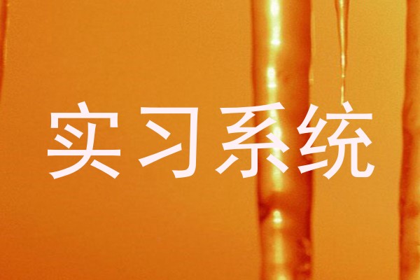 实习系统