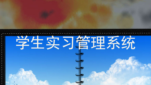 学生实习管理系统