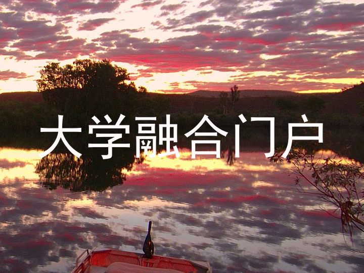 大学融合门户