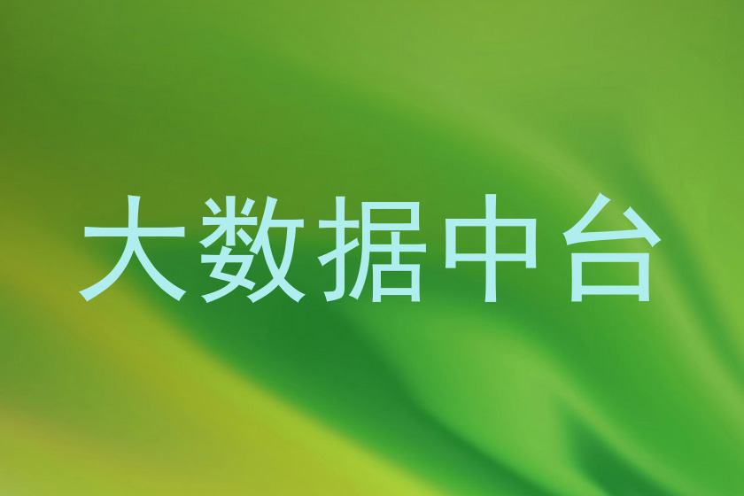 大数据中台