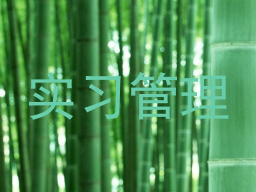 实习管理